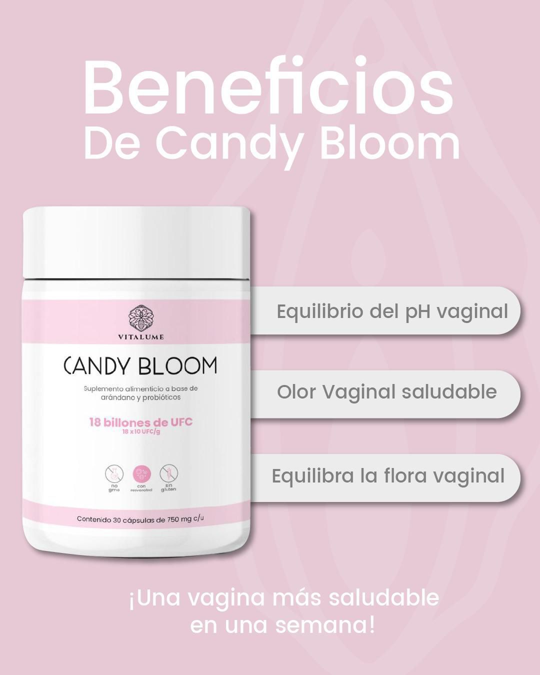 Candy Bloom